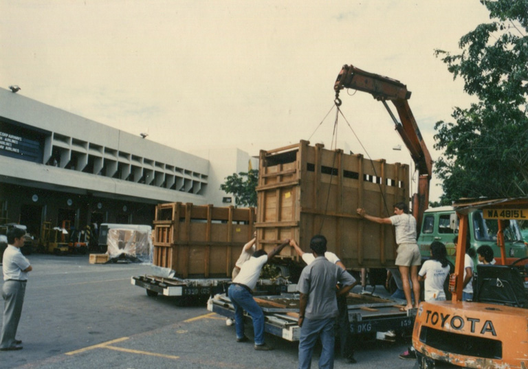 Rhino capture in Sumatra 1984-1993