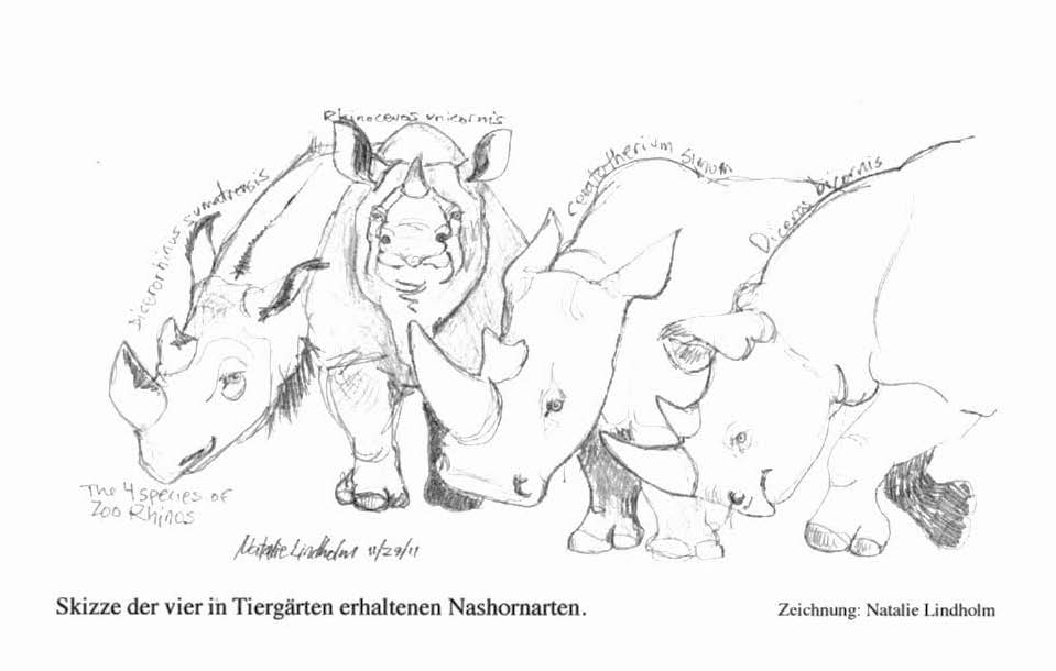Four species