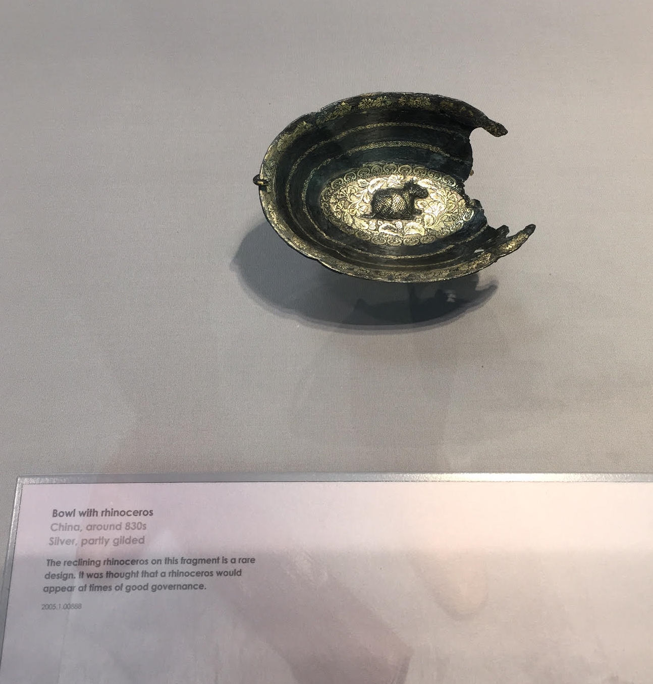 Rhino bowl