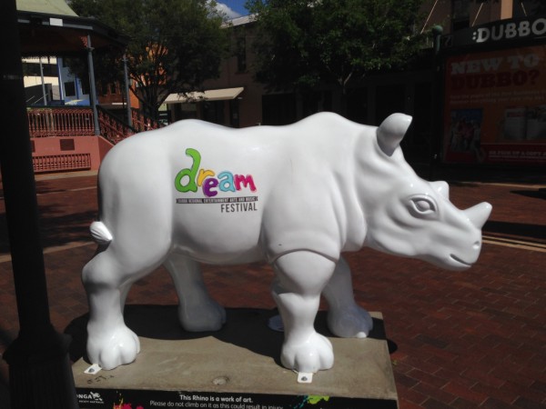 Dubbo Rhino in white