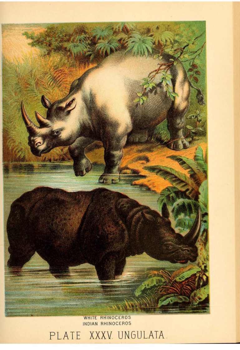 Johnson Household Book