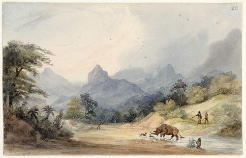 Rhino hunt in Magaliesberg