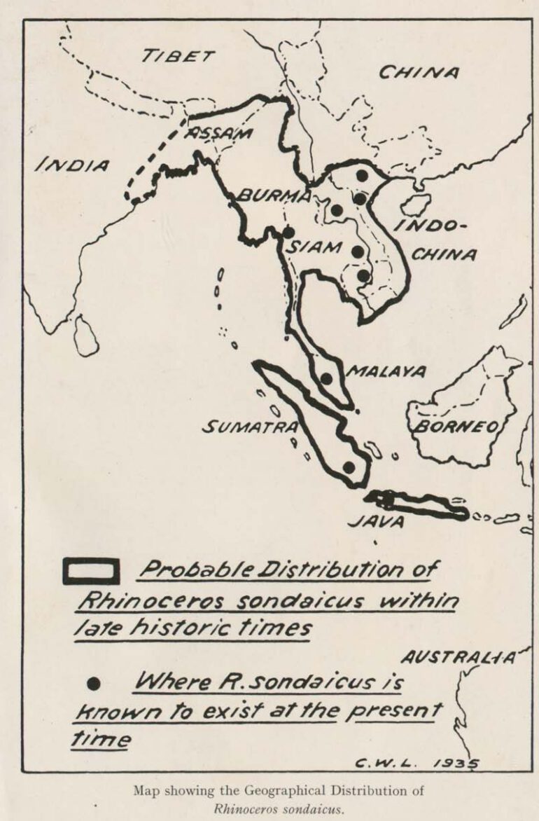 Distribution of Javan Rhino