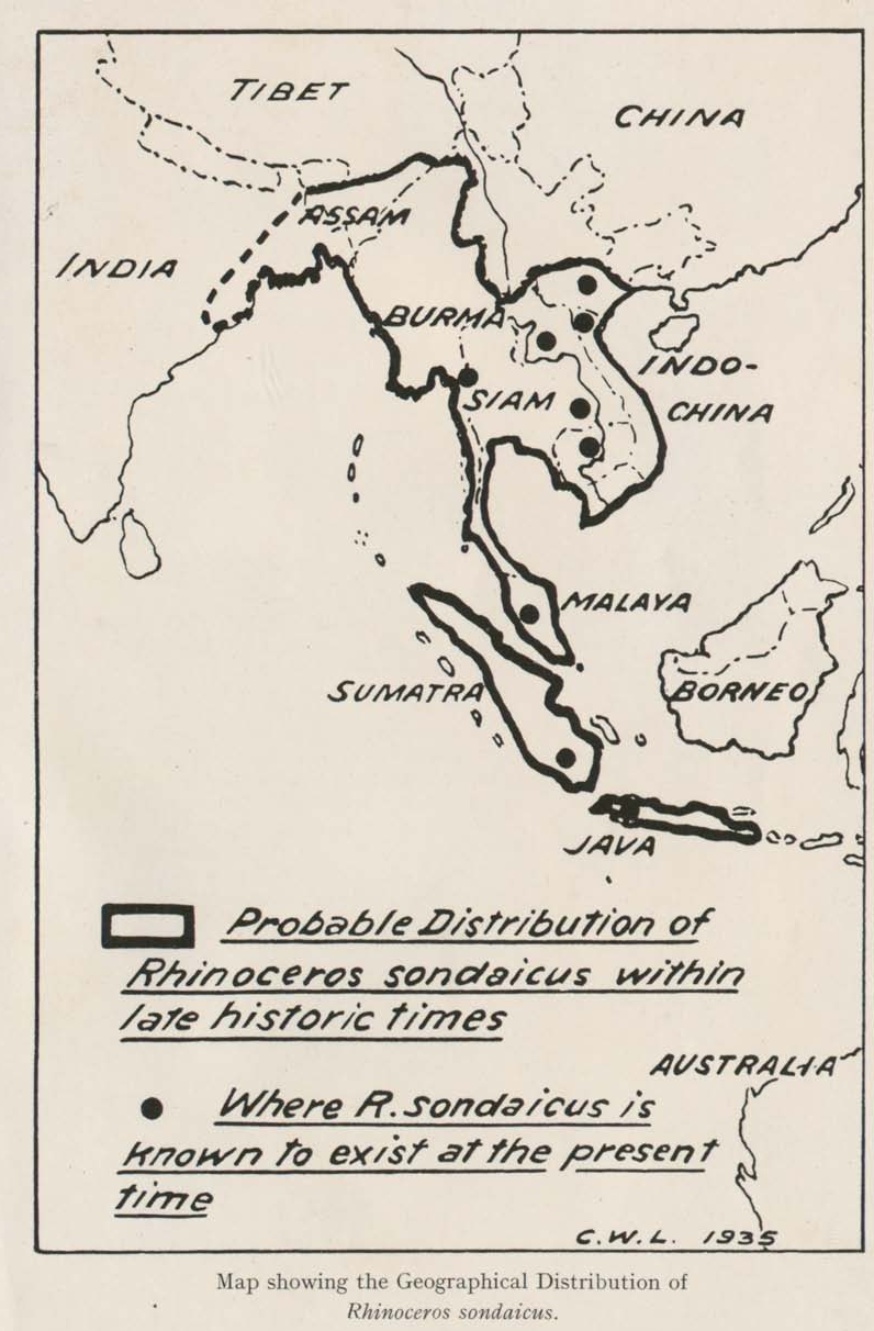 Distribution of Javan Rhino