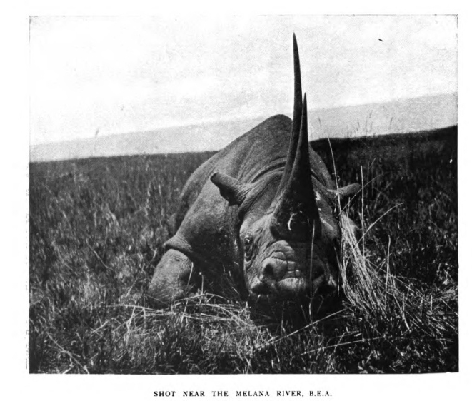 Crespigny 1911 Melana