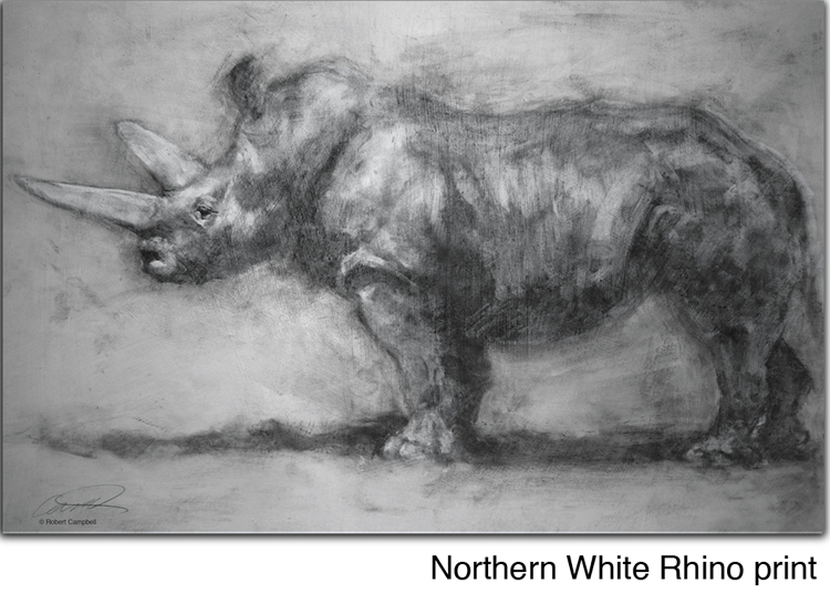 Nile Rhino by Campbell