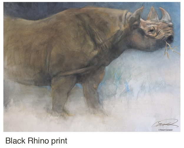 Black rhino by Campbell