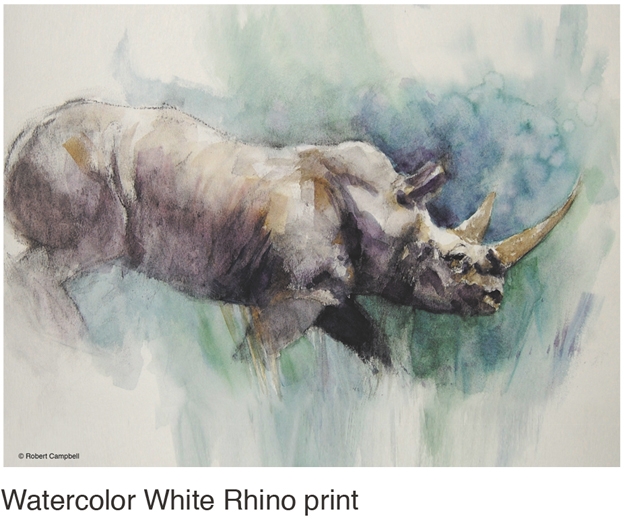 White Rhino by Campbell