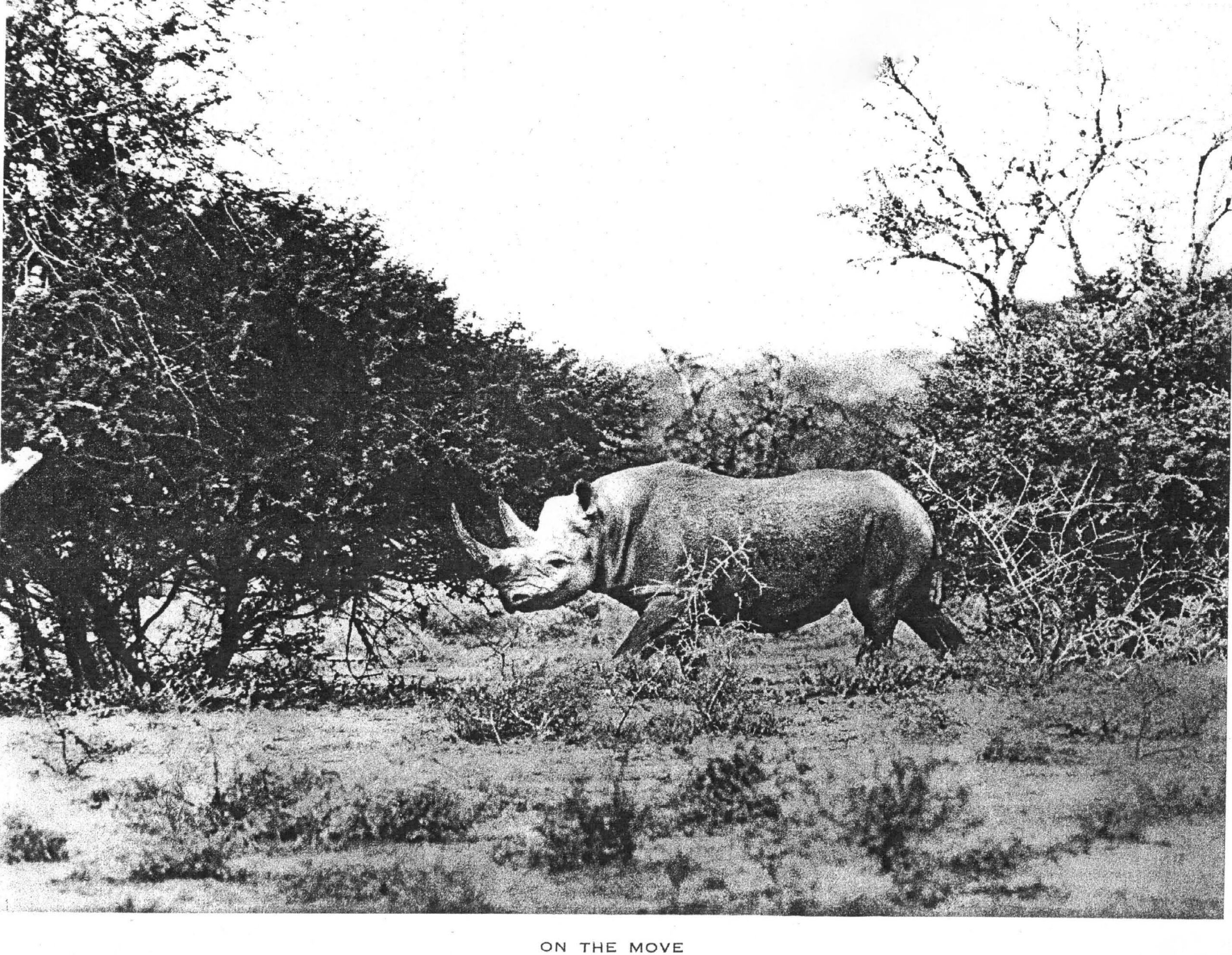 Maxwell 1930 On the move