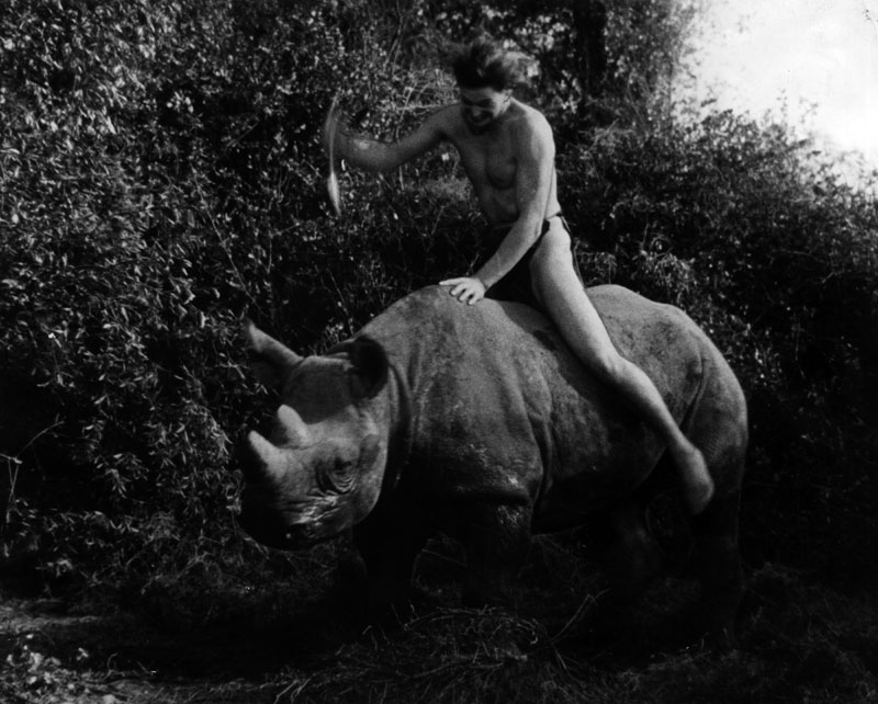 Weissmuller as Tarzan 1934