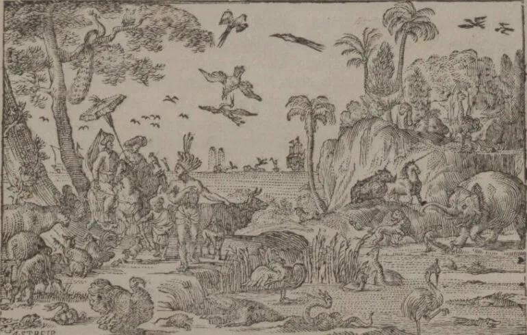 Rhino with Durer hornlet