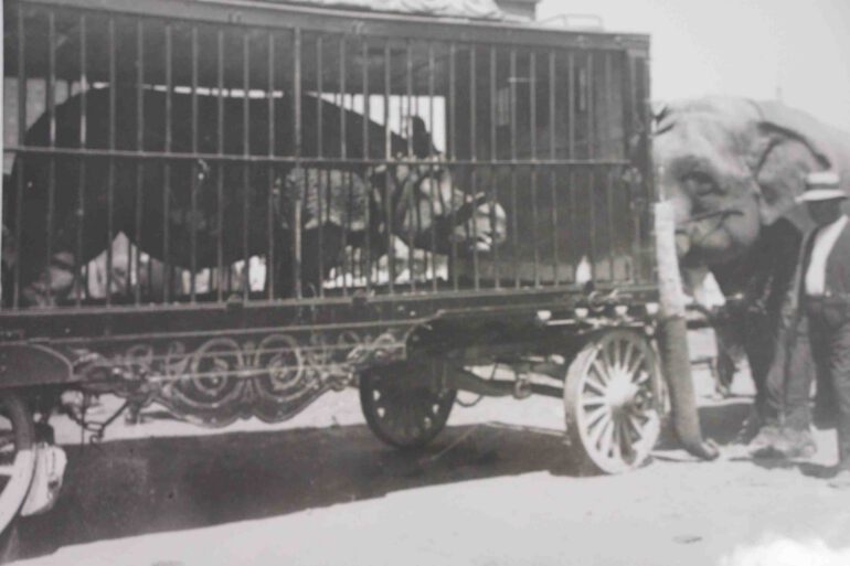 Circus waggon