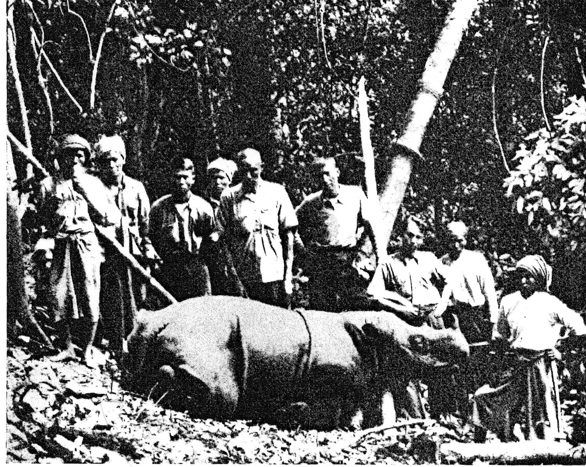 Schwe-u-Daung Game Sanctuary 1930