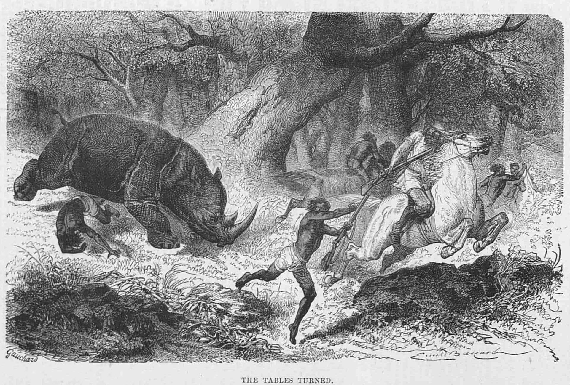 Leveson 1874 Rhino attack