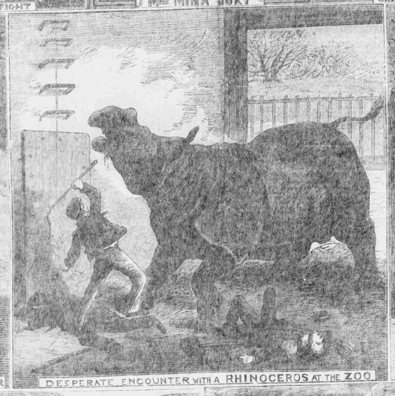 Desperate encounter at Zoo