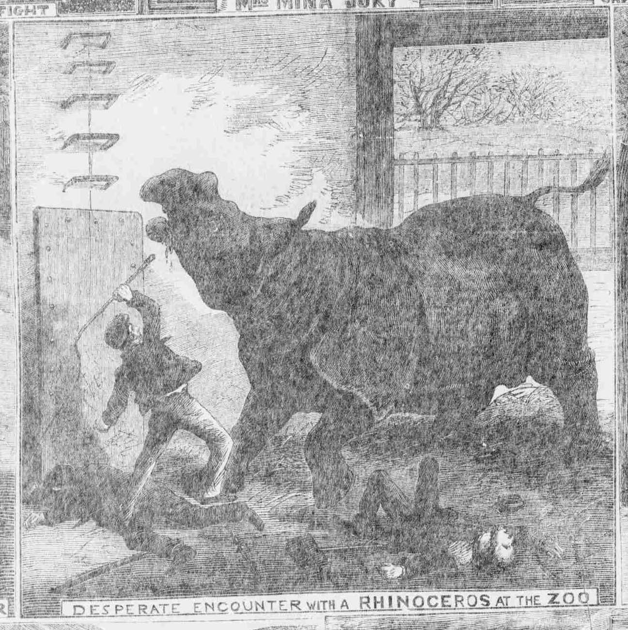 Desperate encounter at Zoo