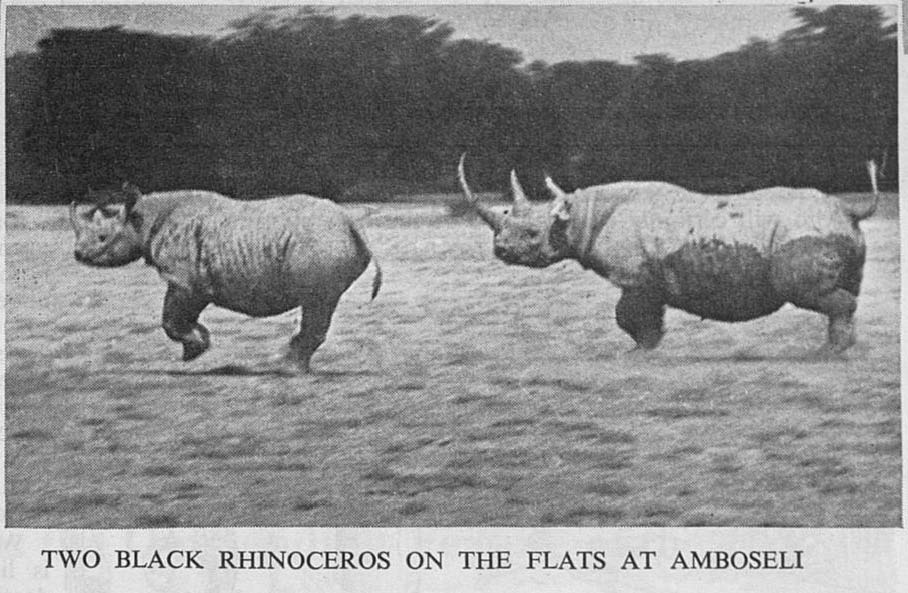 Anderson 1946 Amboseli