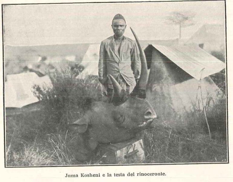 Koshini and rhino head