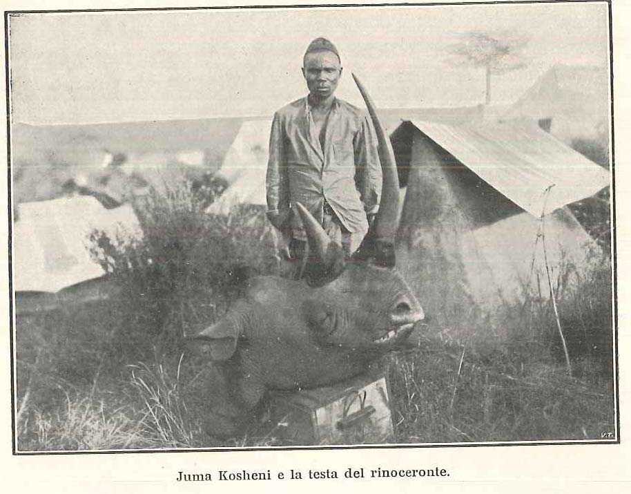 Koshini and rhino head