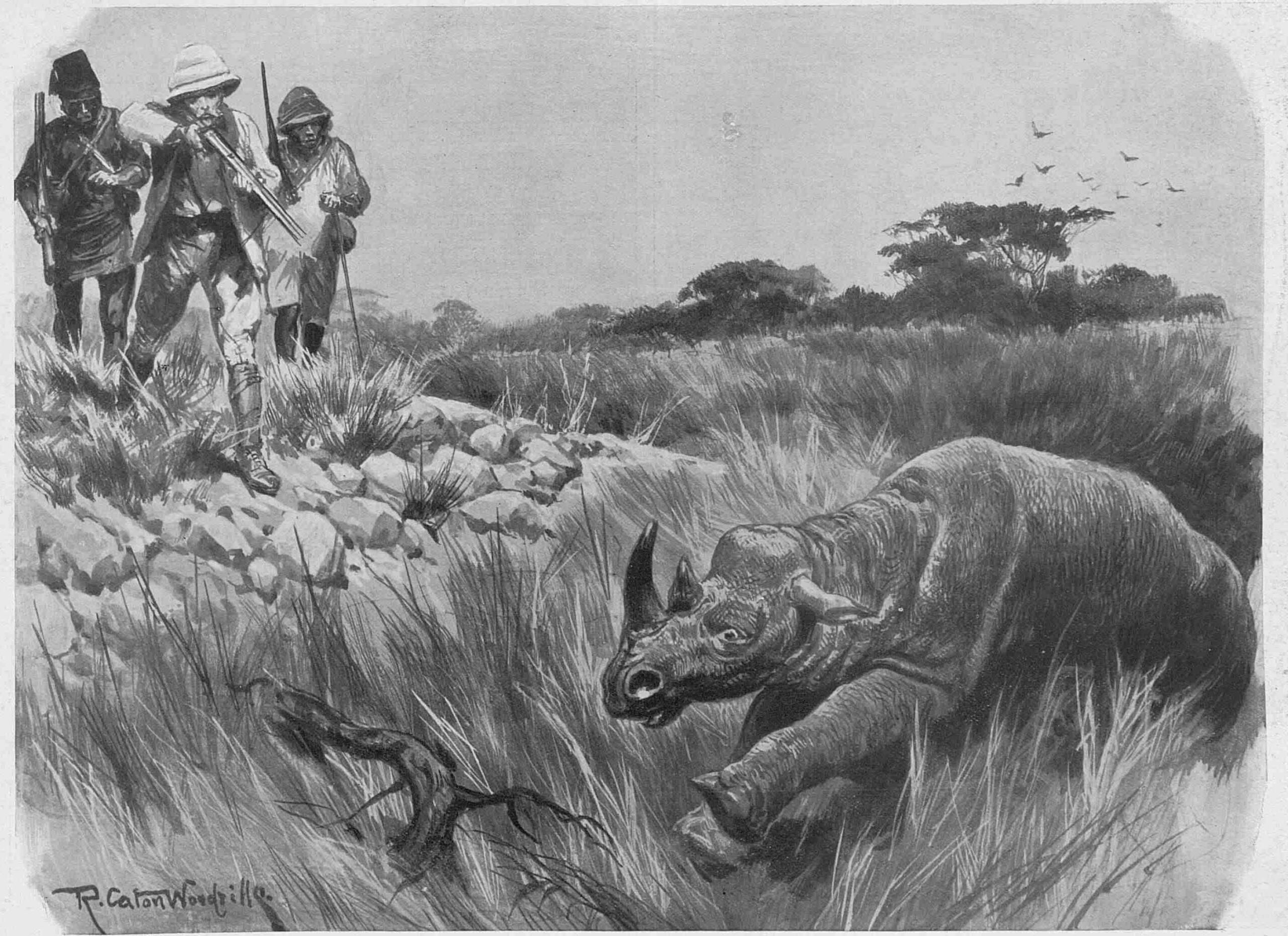 Seton-Karr in Africa