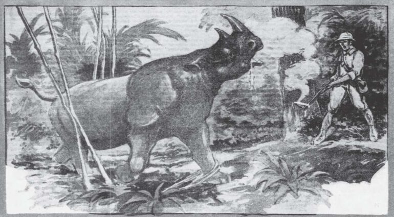 Holder 1929 Rhino Hunt