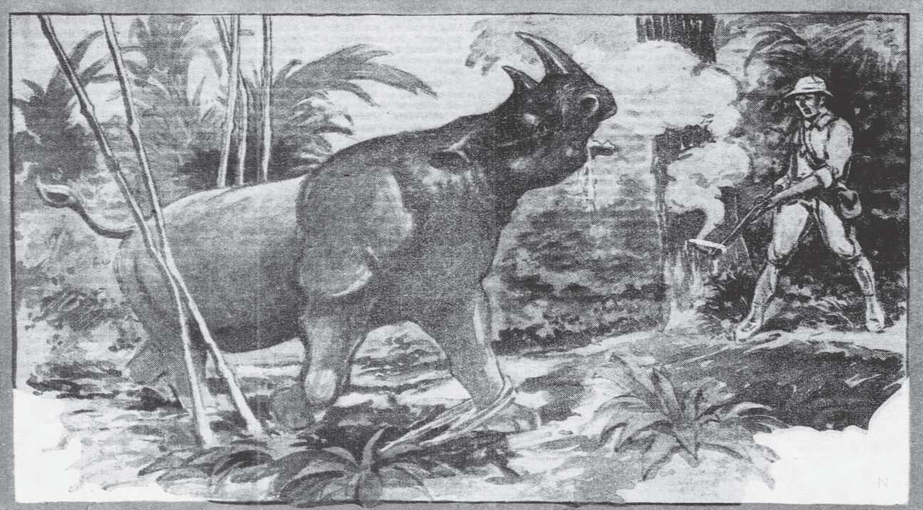 Holder 1929 Rhino Hunt