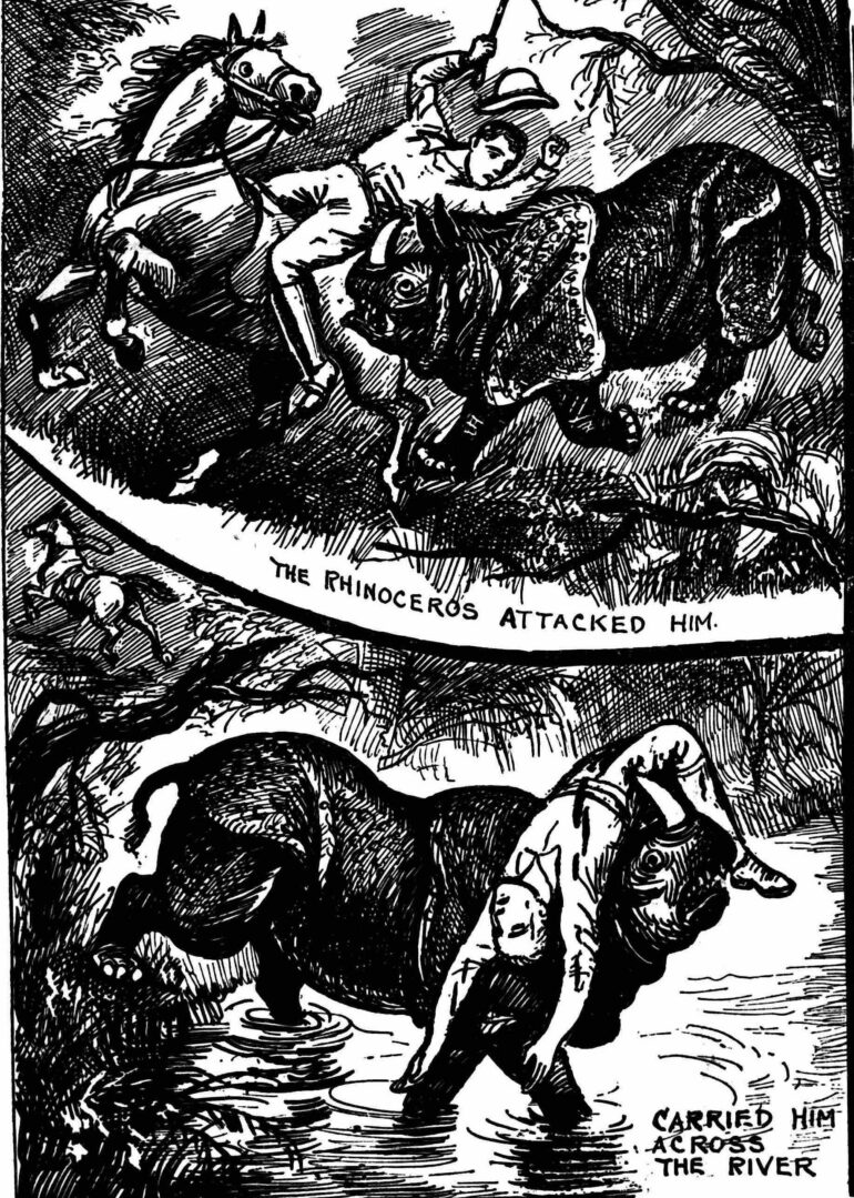 Attacked and saved by rhino