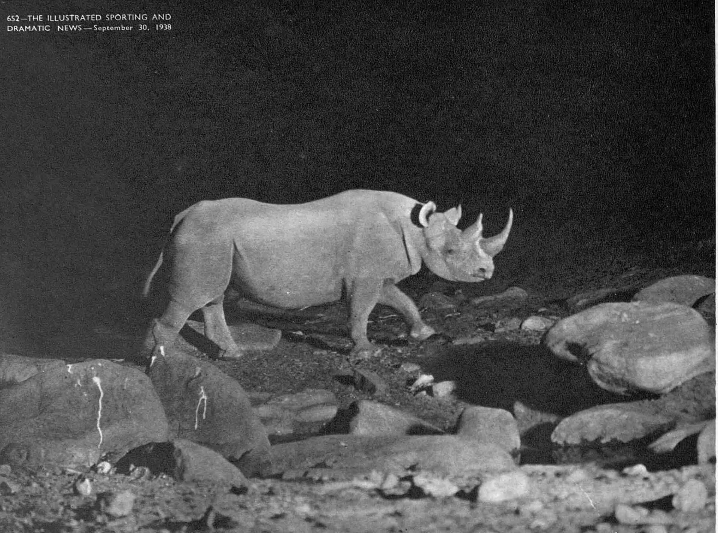 Kearton 1938 Night photo