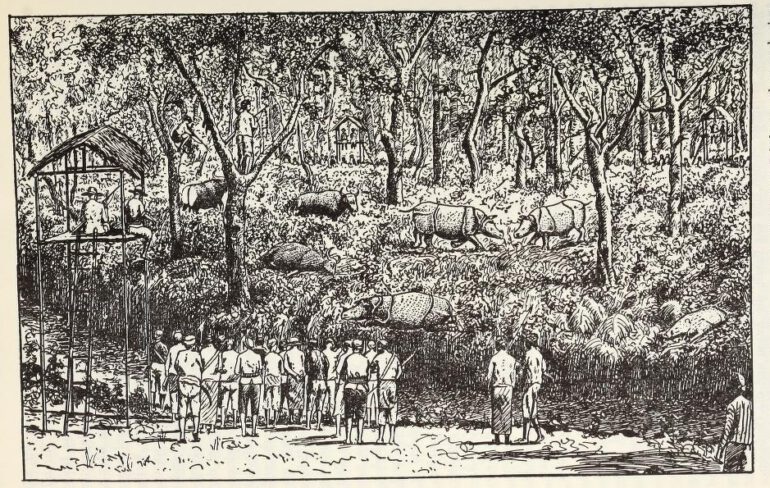 Hunt of 3 rhino in Java in 1829