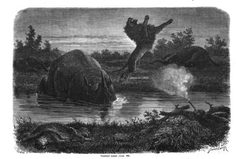 Baldwin 1867 Night scene