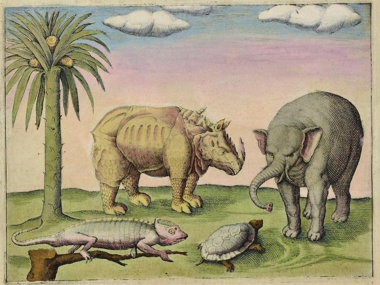 Pontanus 1611 Rhino and Elephant
