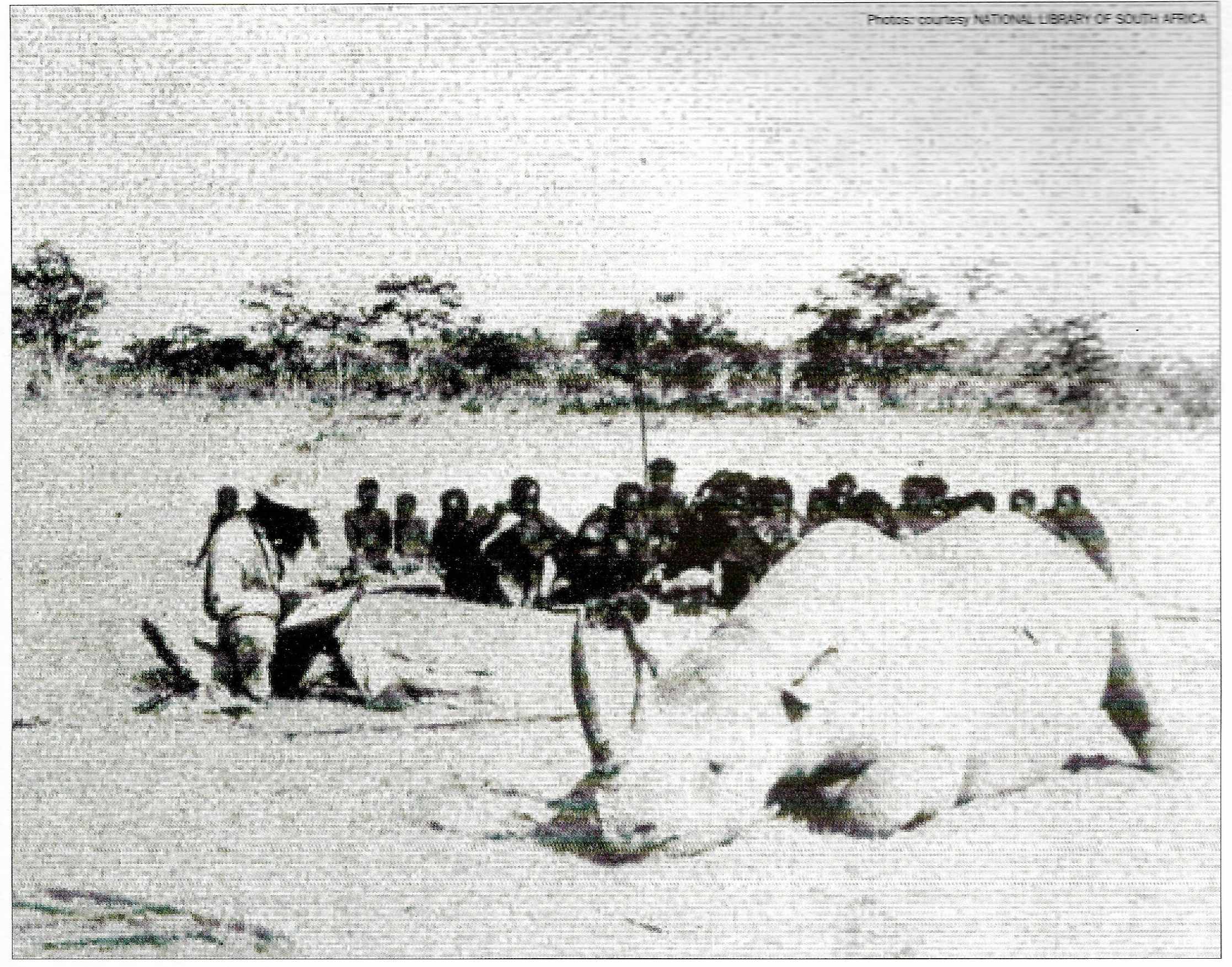 Black rhino and Thomas Baines