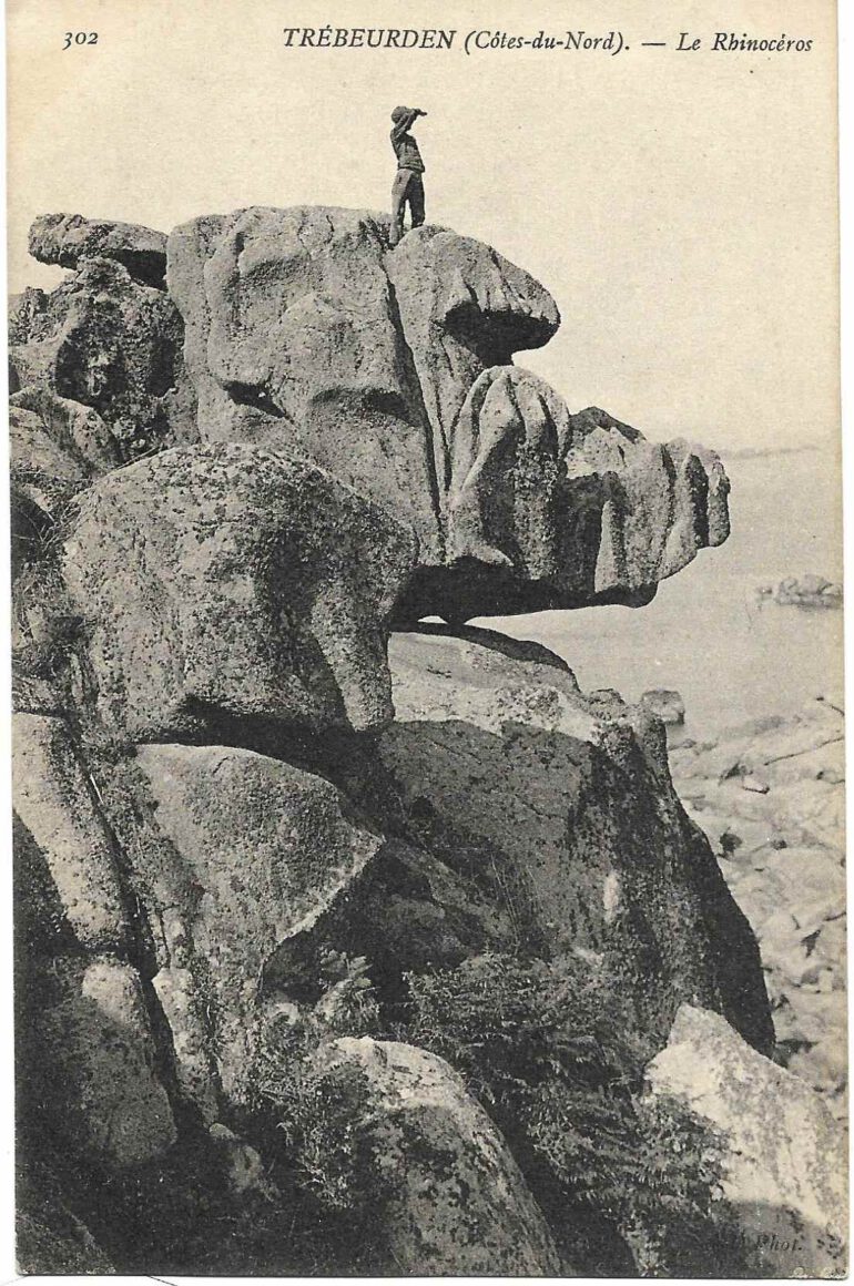 Treuberden Rhinoceros