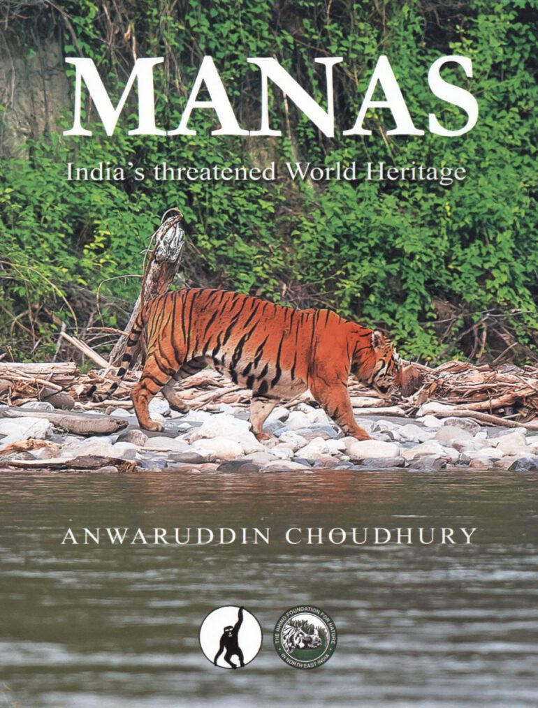 Choudhury on Manas 2019