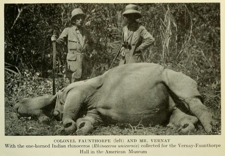 Vernay-Faunthorpe in Nepal
