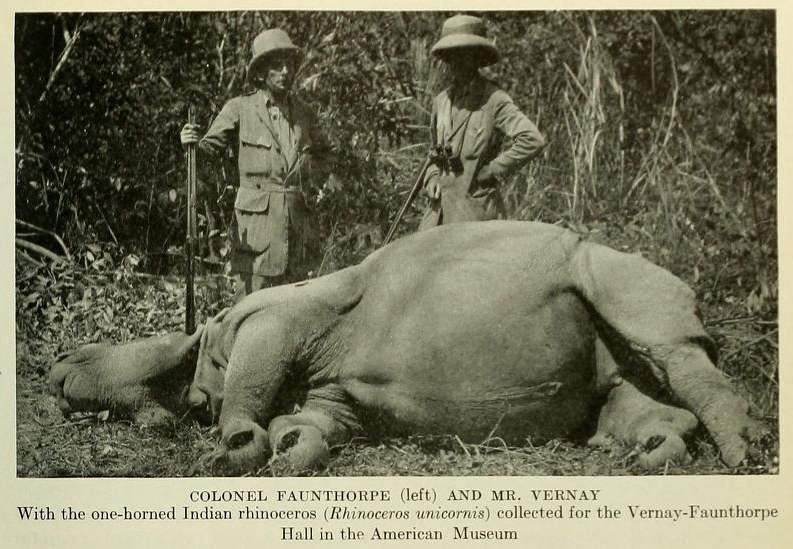Vernay-Faunthorpe in Nepal