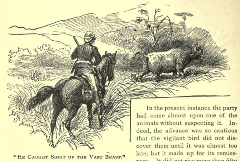 Black rhino with man on horseback