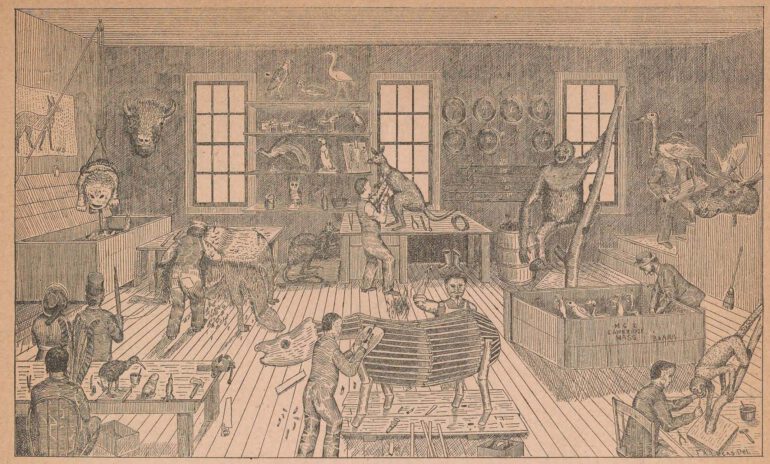 Ward’s Establishment