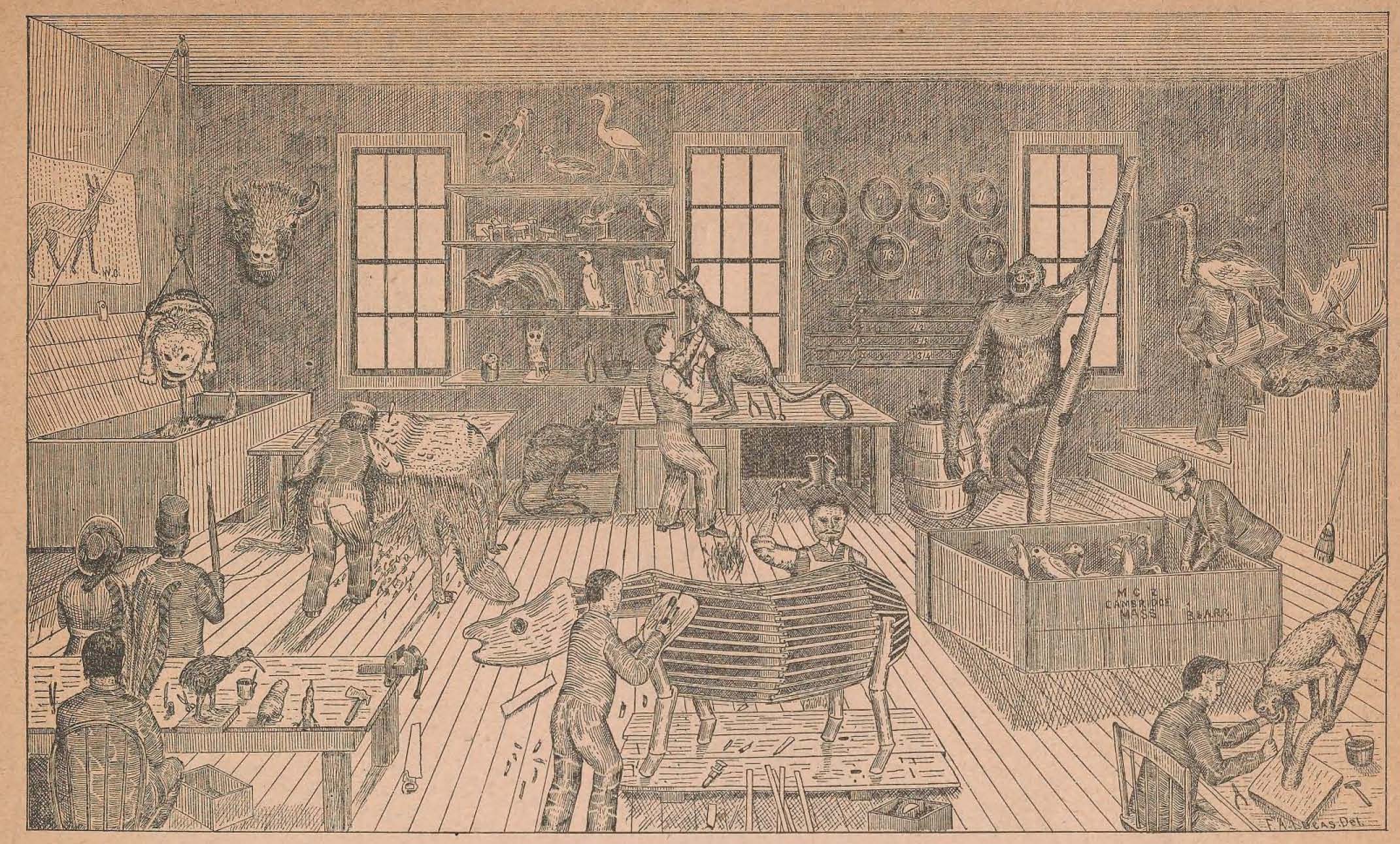 Ward’s Establishment