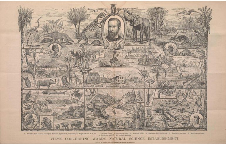 Ward’s Natural Science Establishment