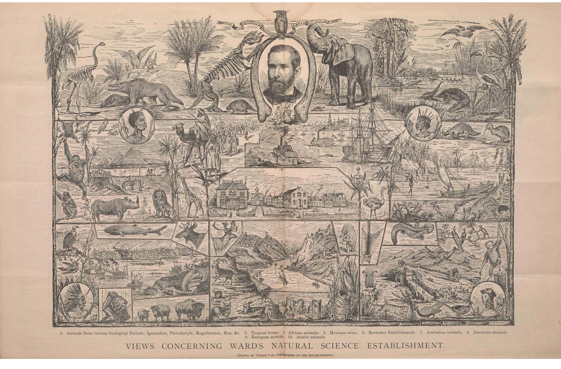 Ward’s Natural Science Establishment
