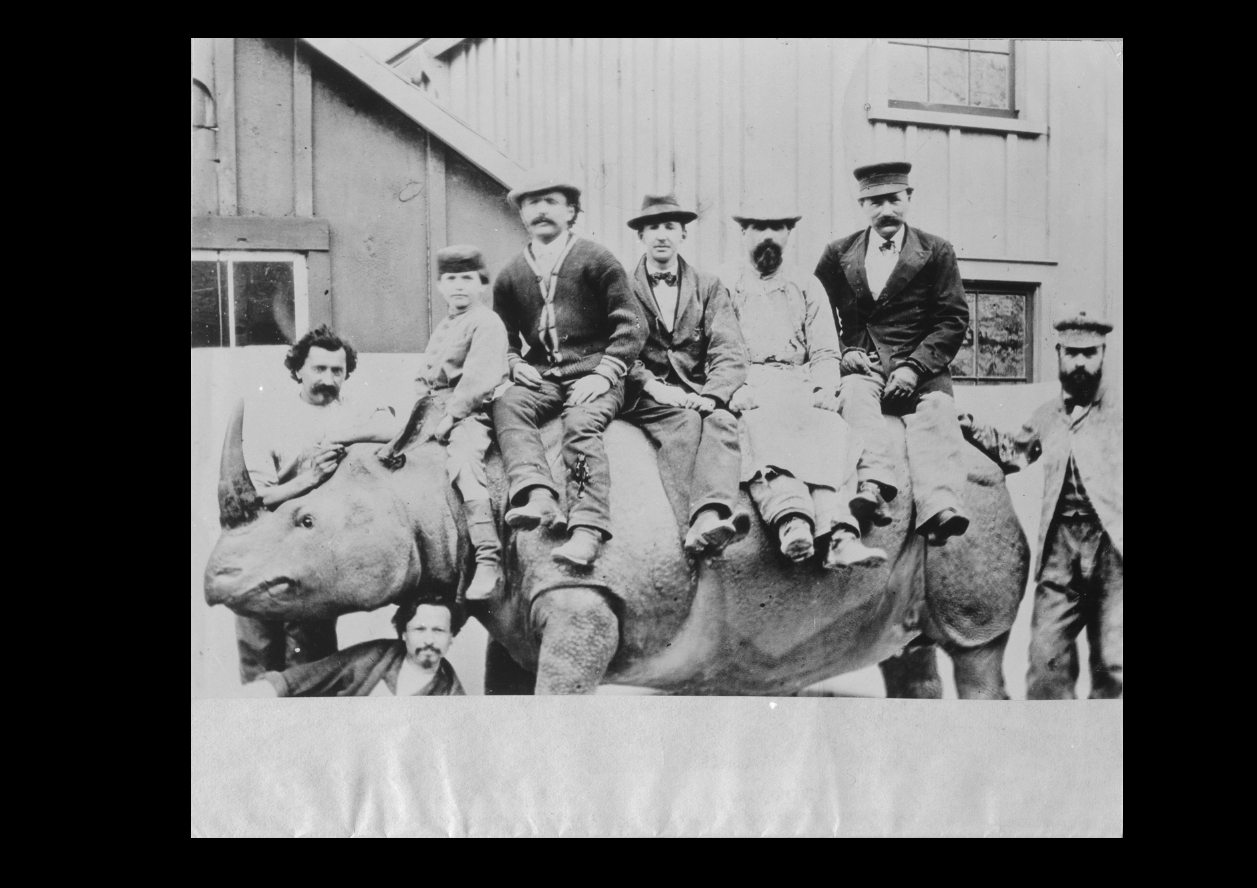 Henry Ward in Rochester