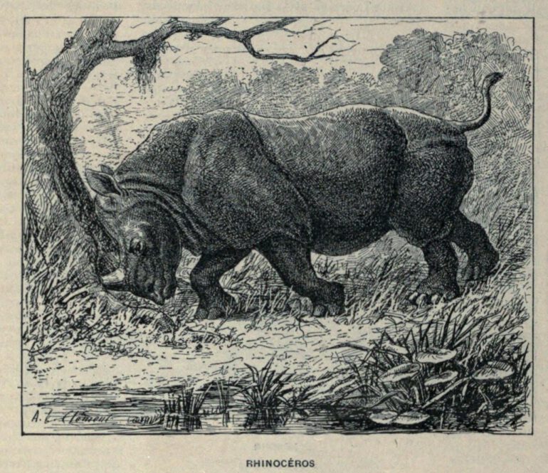 Dictionnaire des mots 1889