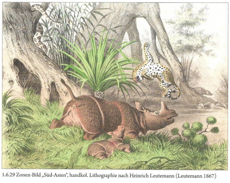 Leutemann 1869 Rhino and Leopard