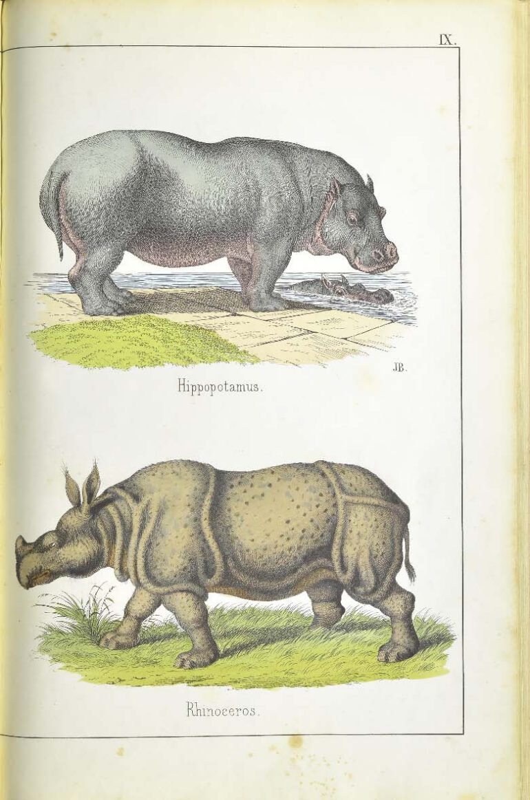 White 1860 Instructive Picture Book