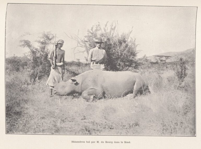 Bourg de Bozas in Africa