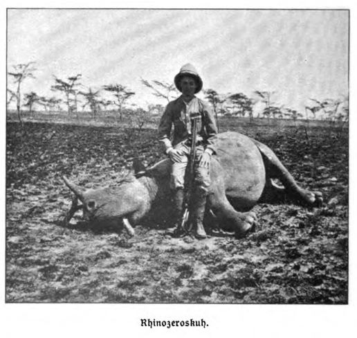 Niedieck and female rhino