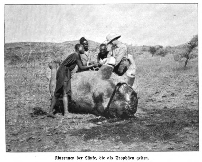 Feet as trophies in Africa