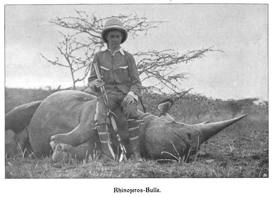 Niedieck in East Africa