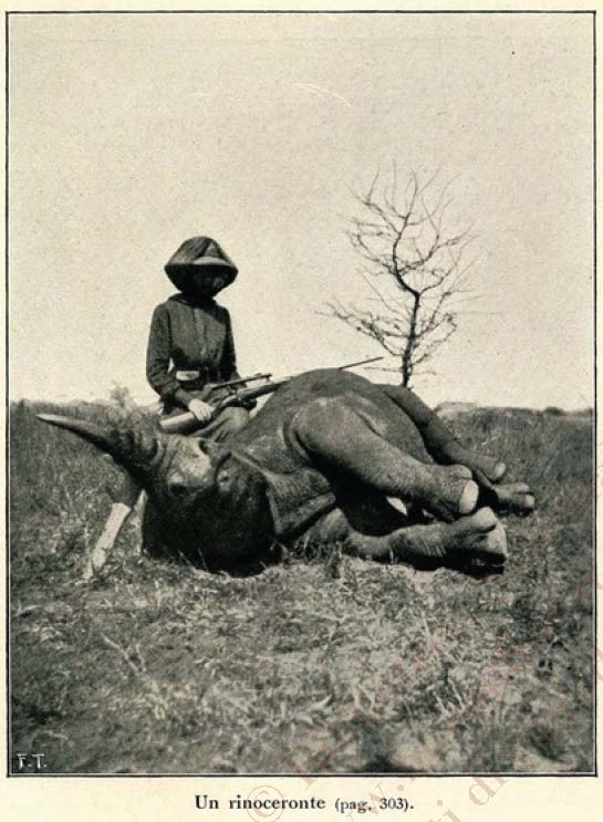 Duchess of Aosta and rhino